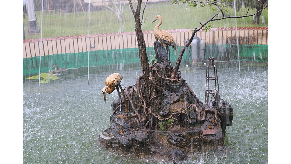 迎賓建物「白鶴池」內，噴泉洗禮下的池中小山，除有雙鶴象徵著祥瑞外，還有象徵嘉義阿里山的小火車穿梭於山洞間喔。